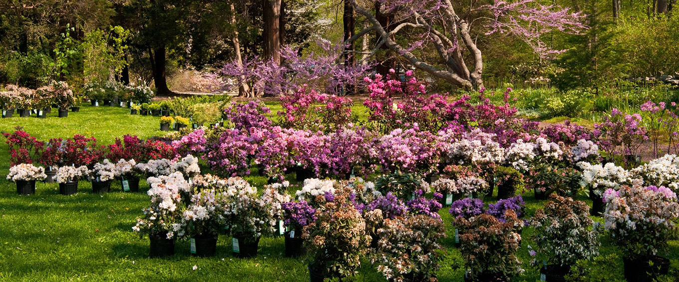 Spring Flowers & Gardens in Fairfield County Visit CT